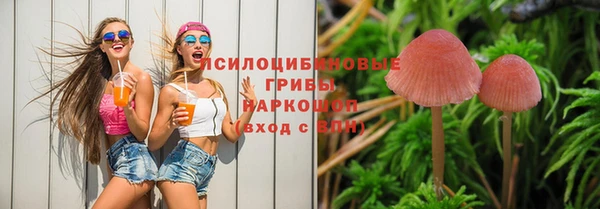 ешки Козловка