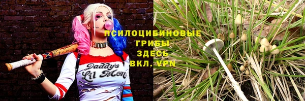 марки lsd Кодинск