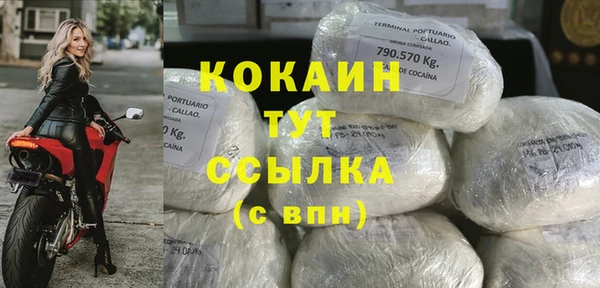 мдпв Костерёво