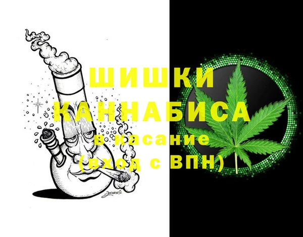 мдпв Костерёво