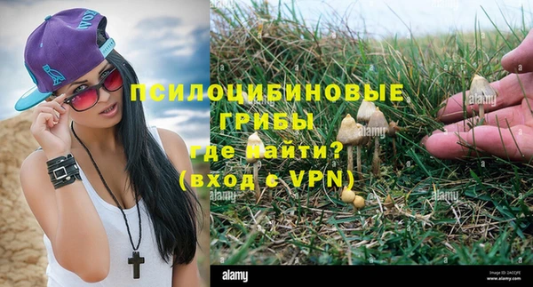 спайс Коряжма