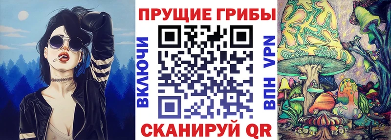 Псилоцибиновые грибы Magic Shrooms  Купить где  Отрадное 